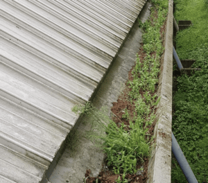 Happy customers in Headley Down who trust The Roof Moss Cleaners for gutter cleaning services